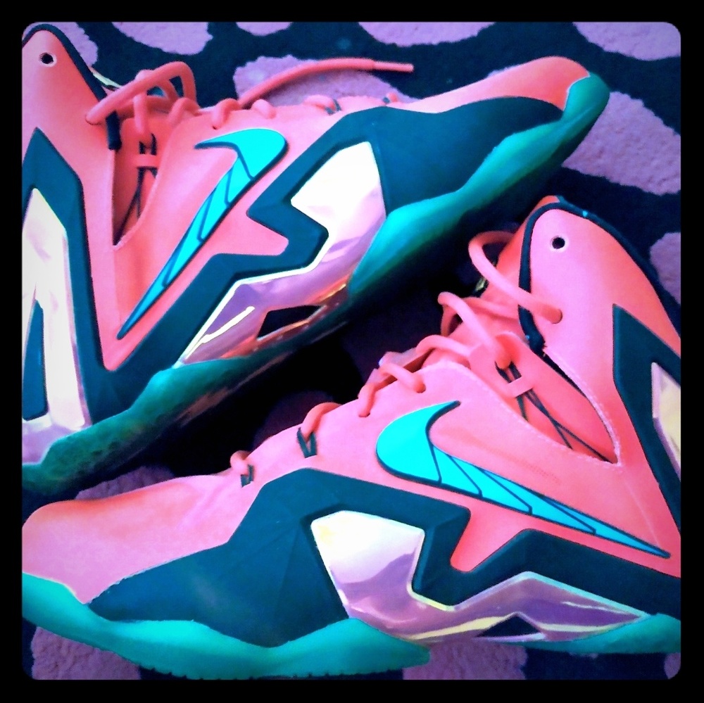 LeBron James Elite